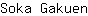 S***n