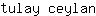 t***n