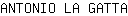 A***A