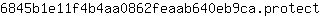 6***t