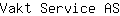 V***S