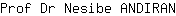 P***N