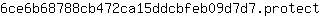 6***t