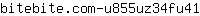 b***1