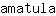 a***a