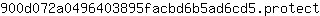 9***t