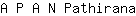 A***a