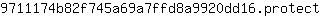 9***t