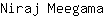 N***a