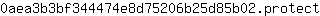 0***t