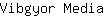 V***a