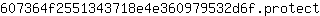 6***t
