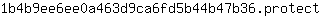 1***t