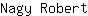 N***t