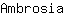 A***a
