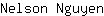 N***n