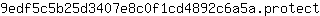 9***t