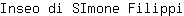 I***i