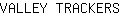 V***S