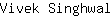 V***l