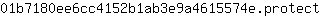 0***t