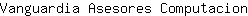 V***n