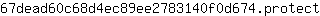 6***t