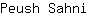 P***i