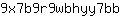 9***b