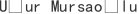 U***u