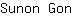 S***n