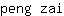p***i