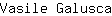 V***a