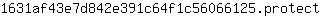 1***t