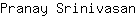 P***n