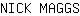 N***S