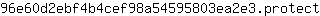 9***t
