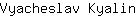 V***n