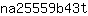 n***t