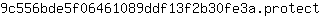 9***t