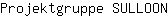 P***N