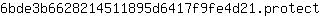 6***t