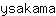 y***a