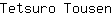 T***n