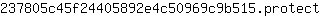 2***t