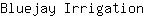 B***n