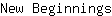 N***s
