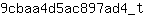 9***t
