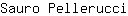 S***i