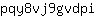p***i